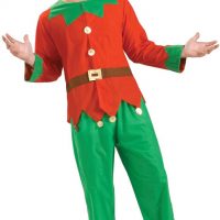 Elf Simple Christmas Adult Costume