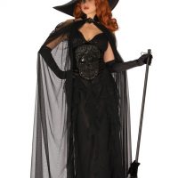 Elegant Witch Adult Costume
