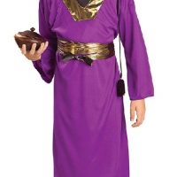 Purple Wiseman Child Costume