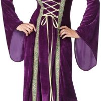 Renaissance Lady Adult Costume
