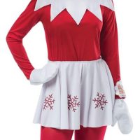 Elf on the Shelf Dress Adult Costume